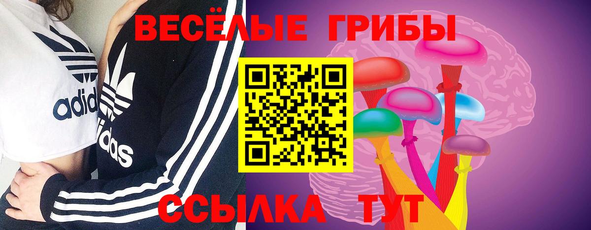 Саяногорск  Галлюциногенные грибы Cubensis  Вход с VPN 